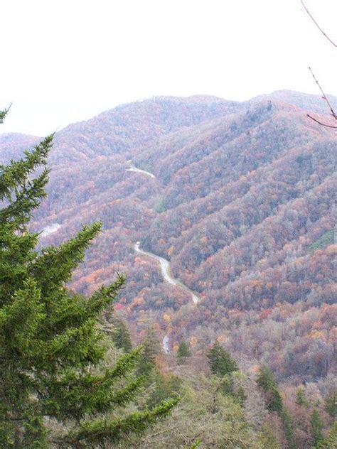 Newfound Gap Newfound Gap Travel Spot Tennessee Travel