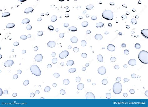 Water Drops White Background Stock Image Image Of Spotted Freshness