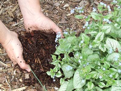 We did not find results for: Smart gardeners improve their soil and weed control with ...