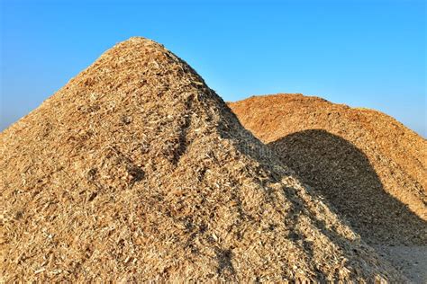 Wood Chips Stock Photo Image Of Cherry Wood Dust Pine 319040