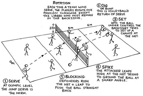 When all players fulfil their role, a beautiful sequence of skilled when aligned in the front row of the rotation, an outside hitter receives a lot of sets in transition because it is the easiest and most available set to make. volleyball positions - Google Search | Volleyball workouts ...