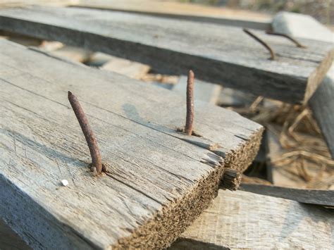 Do Rusty Nails Really Give You Tetanus Live Science