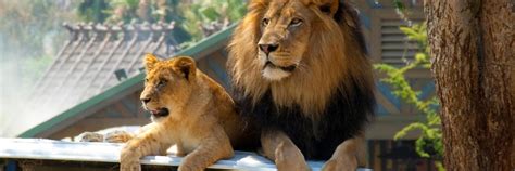 The 10 best hotels near San Diego Zoo in San Diego, United States of