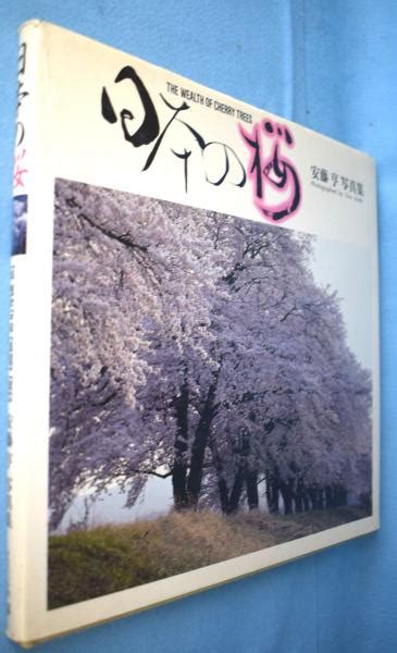 Japanese Sakura Toru Ando Photobook Book In Japanese By Takeshi Ando