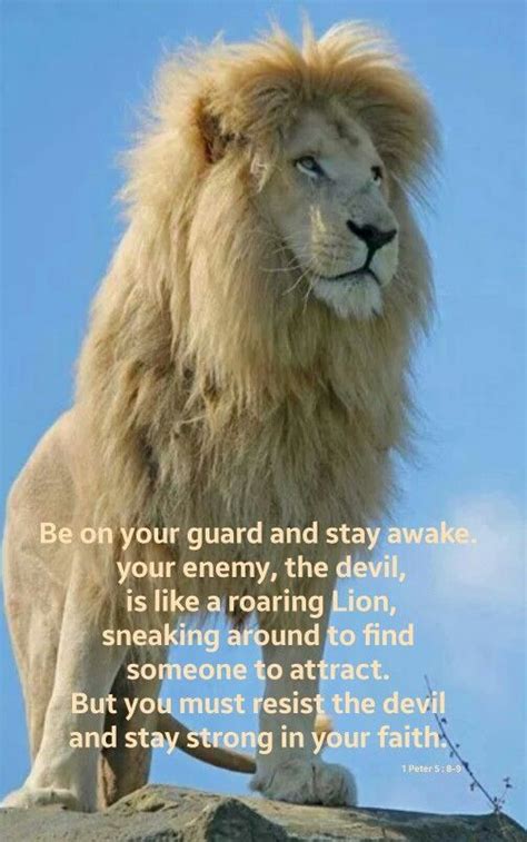 1 Peter 5 8 9 Roaring Lion How To Stay Awake Bible