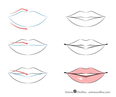 How To Draw Lips For Beginners Easy The Curve Of The Mouth