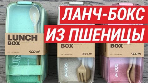 Обзор ланч-бокса из пшеничного волокна. Эко ланч-боксы в Украине - YouTube