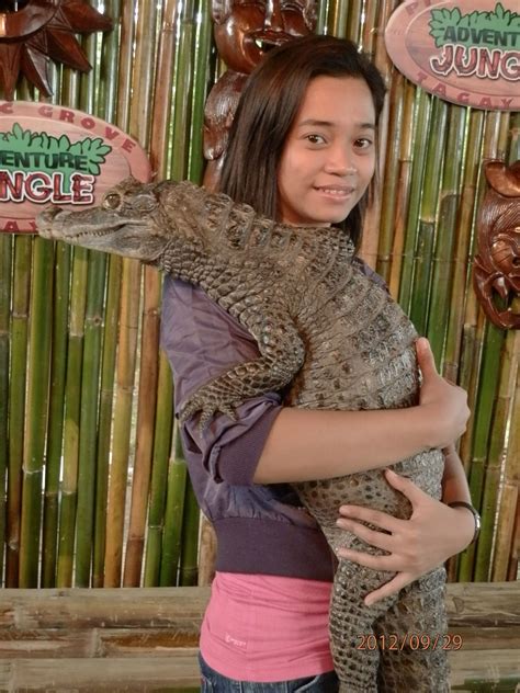 CROCODILE DUNDEE | Crocodile dundee, Fashion, Sweater dress