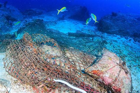 What Are Ghost Nets