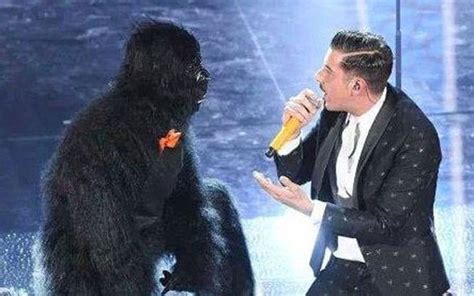 The subreddit of the eurovision song contest! Eurovision 2017: Did you spot Italy's gorilla do THIS ...
