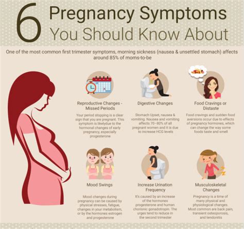 2nd Trimester Pregnancy Symptoms Pregnancywalls