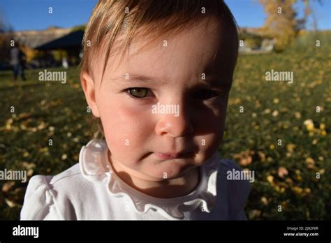 Beautiful Green Eyed Baby Girl Outside In Grass Stock Photo Alamy