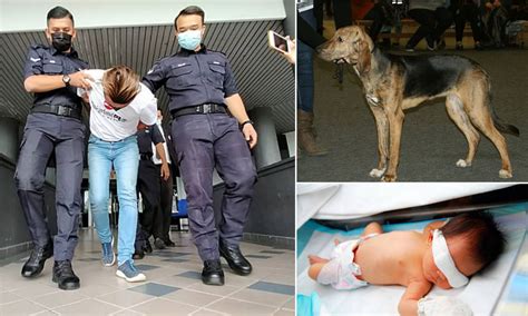 Nama bayi perempuan jawa dan artinya abjad a. Bayi 7 hari putus tangan digigit anjing, pemilik hanya ...
