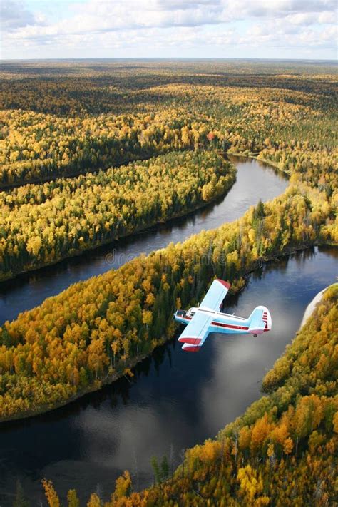 Airplane Over Forest Stock Image Image Of Flying Forests 10986895