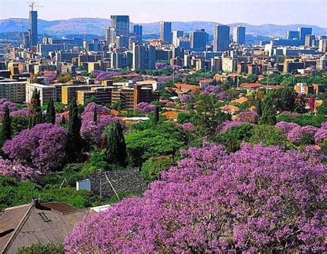 Vieles an südafrika ist außergewöhnlich. Die Hauptstadt von Südafrika ist Pretoria, Bloemfontein ...