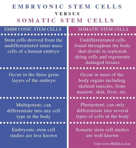 What Is The Difference Between Embryonic And Somatic Stem Cells
