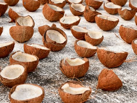 Is Dried Coconut Nutritious