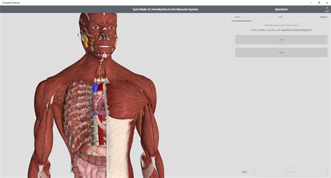 The complete anatomy app is one of the best anatomy software solutions you can download for windows computers. Complete Anatomy Download