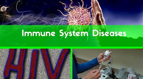 Types And Symptoms Of Immune System Diseases