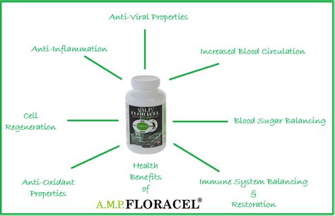 Aloe Vera Digestive Health Supplements Amp Floracel® Autoimmune Disease Digestive Disorders