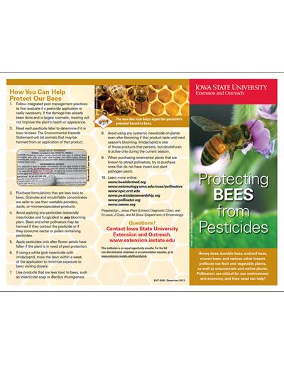 Protecting Bees From Pesticides