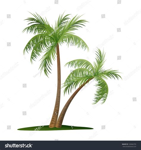 Vector Illustration Of Two Palm Trees - 126966755 : Shutterstock