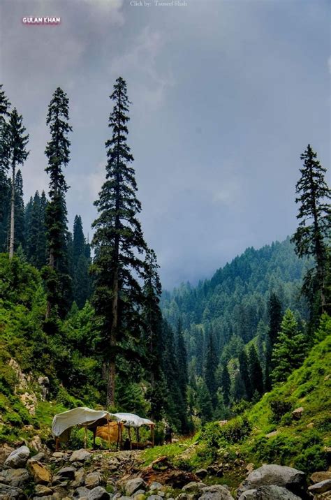 Lush Green Beauty Fantastic Photography Of Beautiful Swat Valley Kpk