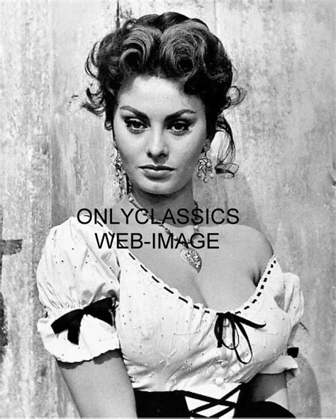 Buy Onlyclassics 1955 Sexy Busty Beauty Sophia Loren 8x10 Photo Italian Actress Pinup Cheesecake
