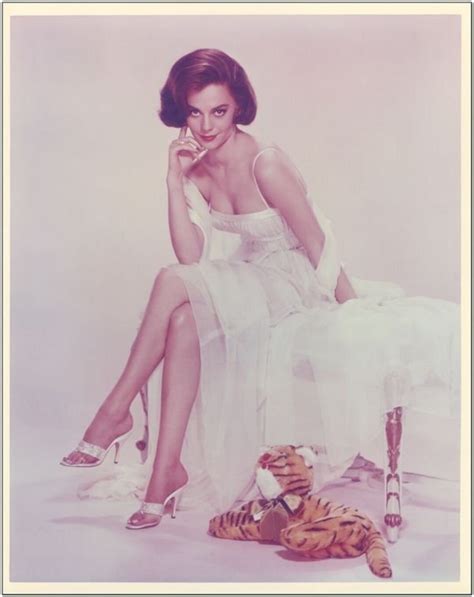 NATALIE WOOD Sexy 8x10 Color Glossy Still Photo Portrait Publicity