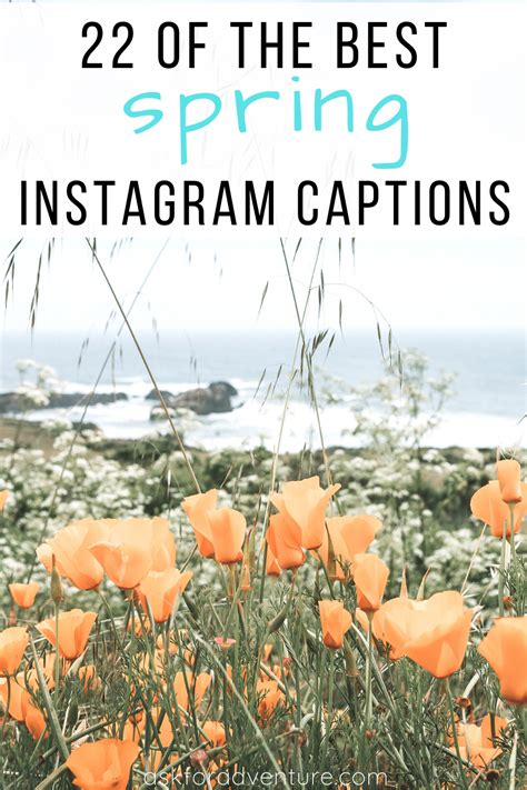 Instagram Captions For Flowers