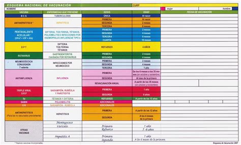 Bueno mañana en la escuela inyectaran la inyeccion de la influenza y queria saber si es necesario la cartilla de vacunacion por que no encuentro la mia. Pin en Salud