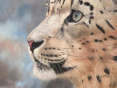 Snow Leopard Painting By David Stribbling Fine Art America