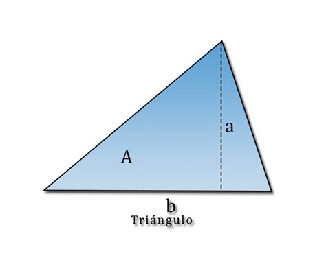 Área De Un Triángulo