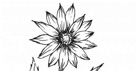 lukisan taman bunga hitam putih sketsa bunga gambar