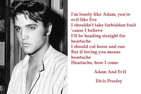 7 Elvis Lyrics With Photos 1 Elvis Lyrics Elvis Presley Quotes Elvis