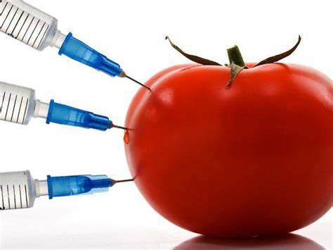 Поликистоз яичник диета Поликистоз печени: причины, симптомы, лечение, диета :: SYL.ru Поликистоз печени: причины, симптомы, лечение, диета :: SYL.ru Поликистоз яичник диета