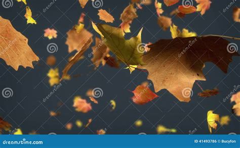 Falling Leaves Loopable Background Stock Footage Video Of Blowing