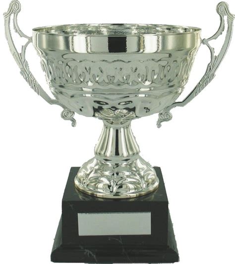 Silver Trophy Cup