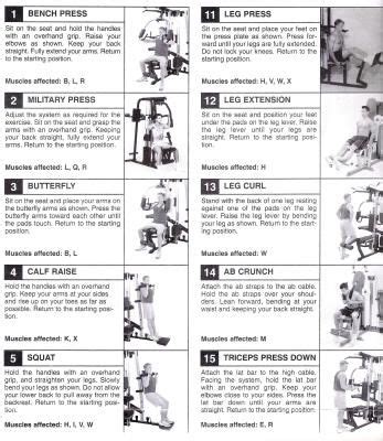Related manuals for gold's gym 300 u ggex72208.0. home gym exercises - Google Search | Yoga n exercises | Pinterest | Home, Charts and Exercise chart