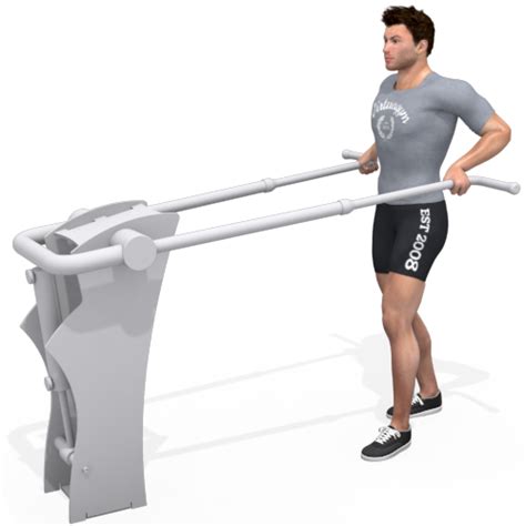 Upright Row Machine Video Exercise Guide