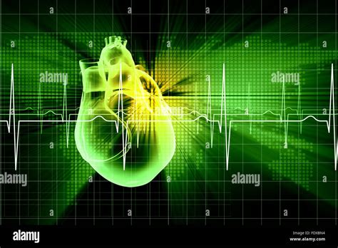 Virtual Image Of Human Heart With Cardiogram Stock Photo Alamy