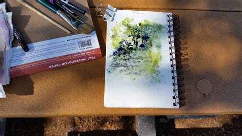 A Nature Art Journal In Southwest Florida