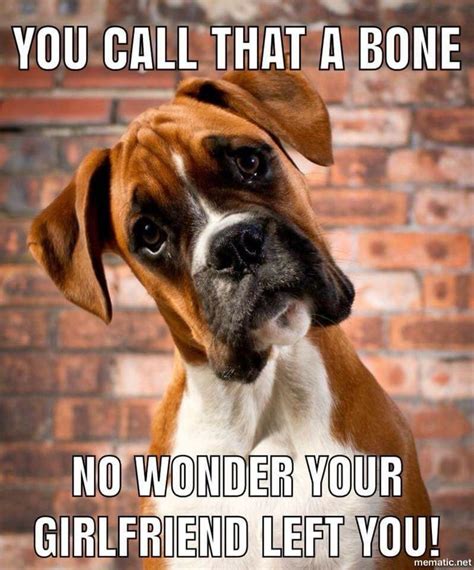 Pin By Jeannine “jay” Pearson On Boxers” Humor Boxer Dog Quotes