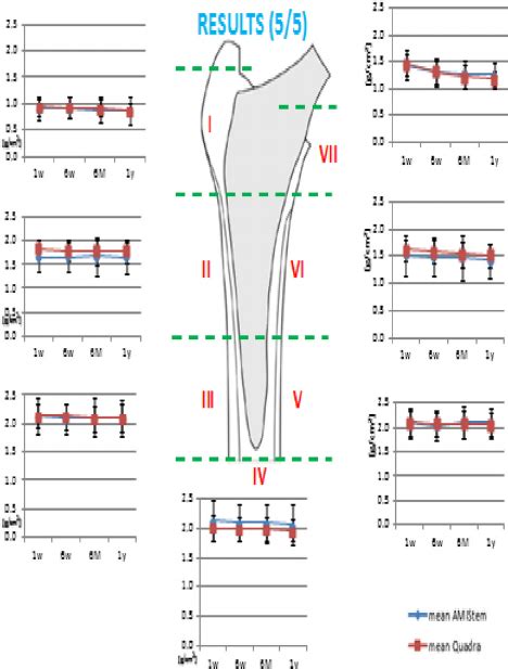 Bmd Results For Every Gruen Zone I E Vii Amis And Quadra Stem Amis