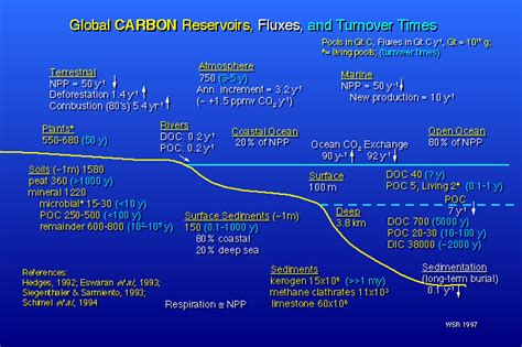 Figure 1 Carbon