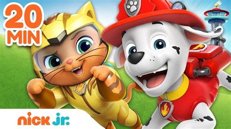 Paw Patrol Best Cat Pack Rescues And Adventures 20 Minute Compilation Nick Jr