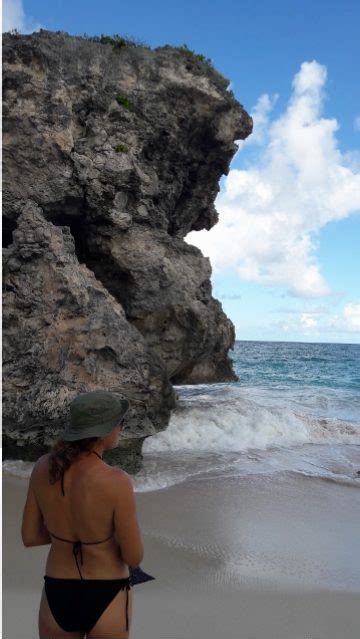 ginger bay barbados seclusion and beauty from secretbarbados com