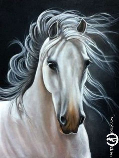 Pin By Gracieli On Bruta Delicada Estampas Horse Canvas Painting