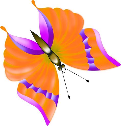 672 Best Clip Art Butterfly Clipart Images On Pinterest