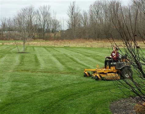 Keep On Mowing And Avoid Snow Mold Brookside Lawn Service